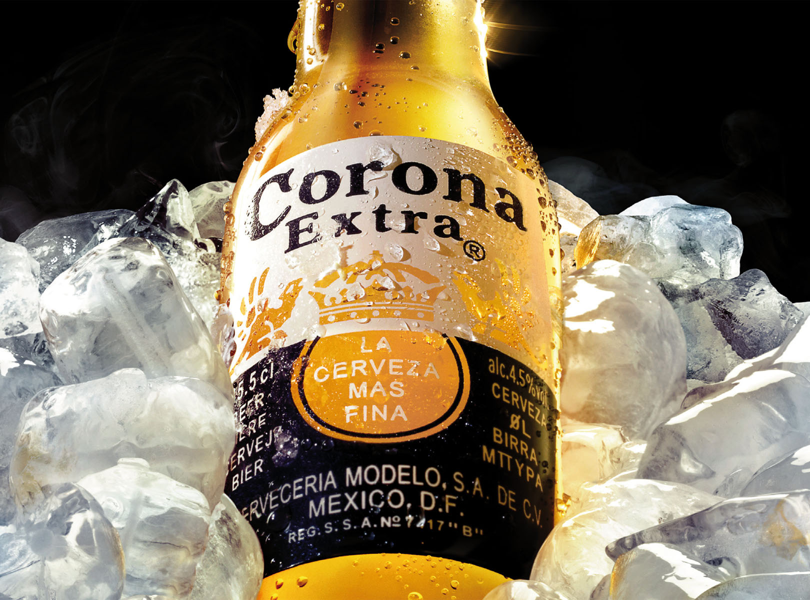corona-extra-visual-31.jpg